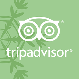 Trip Advisor logo