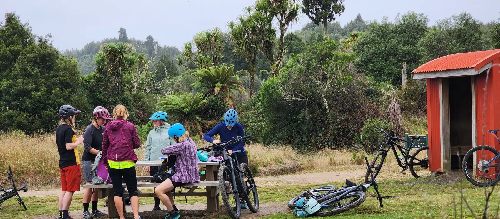 Cycle Trail  Timber Trail