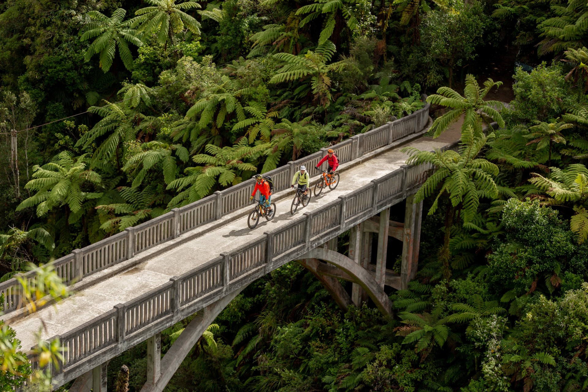Cycle Trail Tongariro National Park