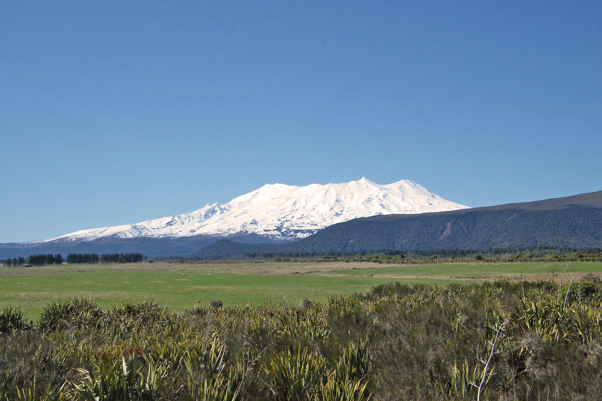 Explore Mt Ruapehu, Tongariro National Park