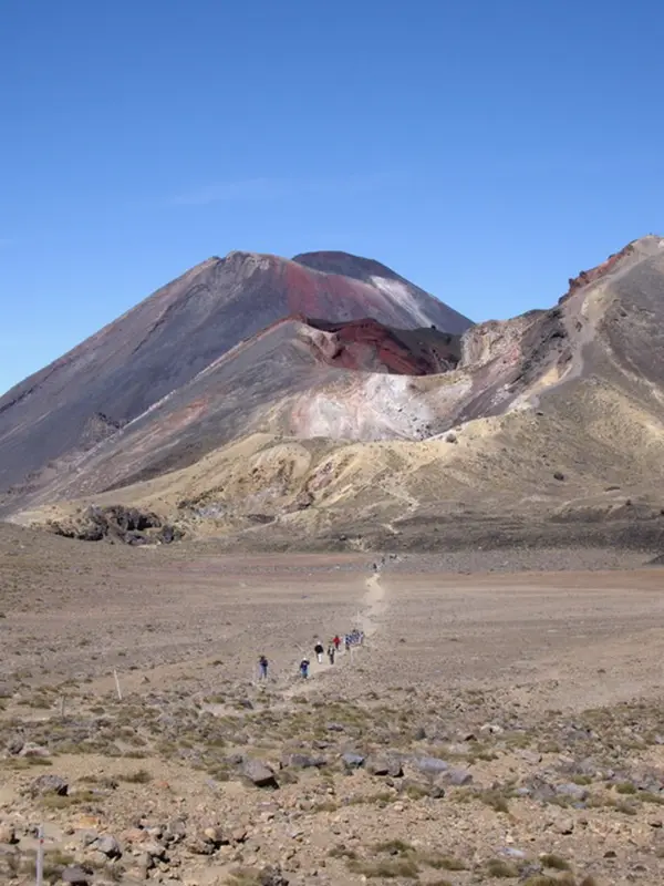 Plateau Lodge Tongariro Alpine Crossing or Northern Circuit