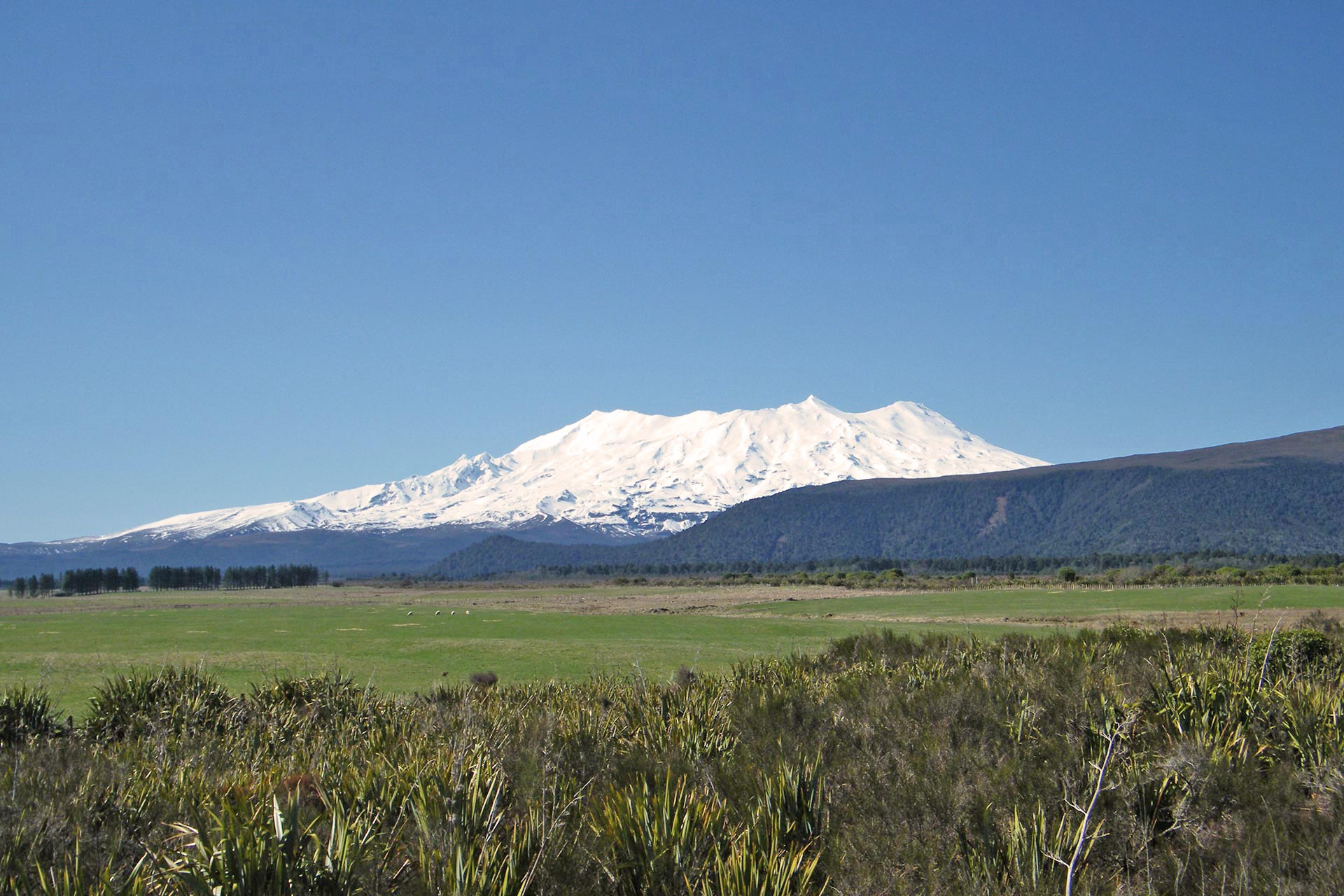 Explore Mt Ruapehu, Tongariro National Park
